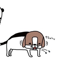ジャーキーを食べる愛犬がかわいい思わず口に近づいてみると…【パンダと犬 #6】 画像