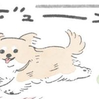 ドッグラン大好きむっく…他の犬にあいさつを…その後に待つことは?!【うちのむっくはいつも楽しそう #4】 画像