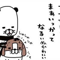 「夢や希望」なくしたのは、いつだっけ? そんな思いも帳消しにしてくれる存在【パンダと犬 #8】 画像
