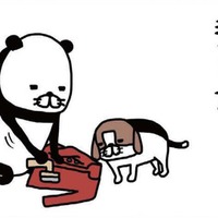 毛取り機でジョリリ~と毛玉除去♪ 愛犬も見守って楽しそう⁉【パンダと犬 #25】 画像