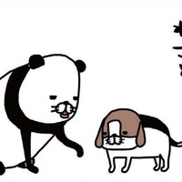 犬にわざと手をふんでもらう理由は?愛犬の肉球、何を感じる?【パンダと犬 #30】 画像