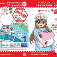 【夏休み2025】神奈川県「はたらく細胞」コラボスタンプラリー 画像
