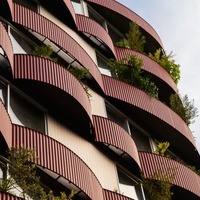 東京・日本橋にホテル「SOIL Nihonbashi Hotel」開業 サワードウピザ名物のピッツェリアも併設 画像