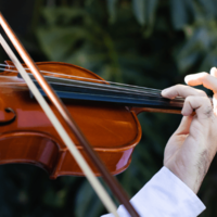 ウィーンを歩いていると…→「すごい!」思わず”立ち止まるの光景”に「さすが音楽の都」 画像