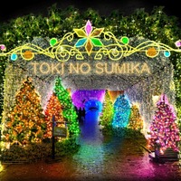 550万球の光が織りなす“魔法の森” 静岡・時之栖でイルミネーション「ひかりのすみか」 画像
