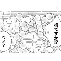 今回のいただきものは梅！いいにおいだけど味は甘くないこの実の使い道は…？【トゥットでアペロ #21】 画像