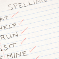 オーストラリアの語学学校で　合ってるはずの回答がバツに…⇒先生に”思わず確認”すると「わかりにくいなぁ」「そうなんだ」 画像