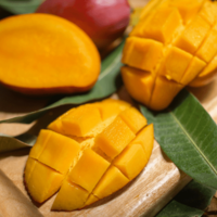 インドで…窓を開けたままマンゴーを食べると⇒「え、噓でしょ!」窓から”野生の動物”が来て「今でも忘れられない」 画像