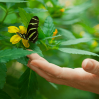 虫が大の苦手な私 洗濯物も外に干せなかったが⇒出産を機に「自分でもびっくり」 画像