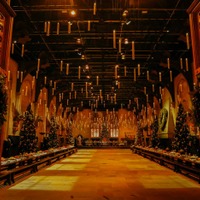 「ハリー・ポッター」魔法界のクリスマスを体感！スタジオツアー東京「ホグワーツ・イン・ザ・スノー」開幕 画像