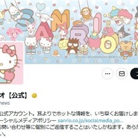 サンリオ「巧妙に装ったなりすましアカウントの存在が確認」注意を呼びかけ【全文】 画像