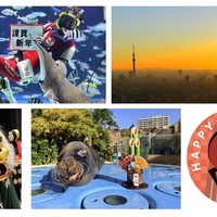 【年末年始】元旦は初日の出、獅子舞も登場…サンシャインシティのお正月 画像