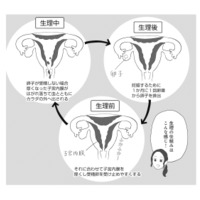 月経痛と過多月経の緩和に効果的なピル。10代でピルを服用するメリットは？【産婦人科医に聞く わたしとカラダの選択肢  #９】 画像