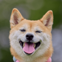 玄関で大はしゃぎする友達の犬　すると、足元にきて⇒まさかの行動に「えー！」「切り替えが激しい」 画像