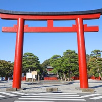 2026開運初詣！勝負運＆チャレンジ運を上げてくれる「午」に縁のある神社７選【関東編】 画像