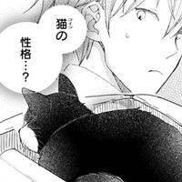 猫の名づけ。適当な名前を呼んでみるが反応なし。性格や特徴ってある？バカバカしくなってきた…【同居人はひざ、時々、頭のうえ。 #16】 画像