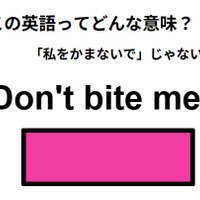 この英語ってどんな意味？「Don’t bite me.」 画像