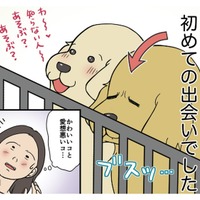 初めての出会いはブスっとした顔…愛想のない仔犬との共同生活の始まり…【おさんぽですし！　おしゃべり犬とイライラ猫の日記 #１】 画像
