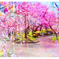 京都・北野天満宮で蜷川実花 with EiMのアートに浸る イマーシブ公演で“幻の茶会”を目撃＜KYOTO NIPPON FESTIVAL＞ 画像