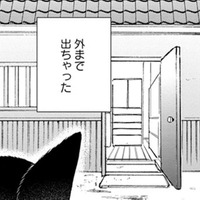 【猫視点】ヤツは消えたけど、今度は苦手な人間が来た！ に、逃げないと!! あれ？ここは外!?【同居人はひざ、時々、頭のうえ。 #43】 画像