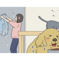 ごはんより安否確認？食事そっちのけで様子を見にくる愛犬がカワイイ【おさんぽですし！　おしゃべり犬とイライラ猫の日記 #10】 画像