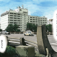 夜勤のお供はブチョーパンと栄養ドリンク。私、チーフやってます！【さくらと介護とオニオカメ！ #２】 画像