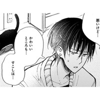 【猫視点】私の役目、わかってるから!! あなたをちゃんと守ってあげるから、安心しなさいよねっ！【同居人はひざ、時々、頭のうえ。 #54】 画像