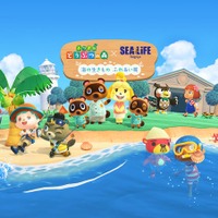 「あつ森」アクティビティが水族館に登場 名古屋シーライフ水族館とコラボ決定 画像