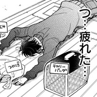 猫連れの知らない女性に話しかけられて、普通にしゃべれてる自分に驚き！え？ 病院で検査!?【同居人はひざ、時々、頭のうえ。 #59】 画像