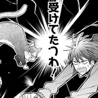 【猫視点】また人間が倒れていたけど、今日はいつになく真剣な顔！これは… 勝負ね!!【同居人はひざ、時々、頭のうえ。 #61】 画像