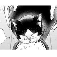 【猫視点】人間が首に何かつけてきた。なんだかやな感じ。だけど安心もする… まあいいか♪【同居人はひざ、時々、頭のうえ。 #62】 画像