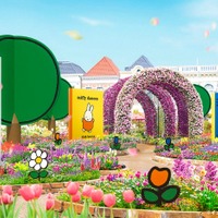 ハウステンボスのミッフィー春イベント、華やかなガーデン新登場 限定グルメも可愛さ満点 画像