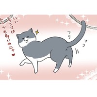 「愛猫の一日」ひとり時間を好み、自由気ままな暮らしぶり。飼い主にとってもミステリアス【おさんぽですし！　おしゃべり犬とイライラ猫の日記 #21】 画像
