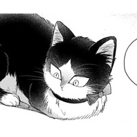 【猫視点】ぐったりしてると犬が話しかけてきた。あの子が私の事を心配してる？家族って何？【同居人はひざ、時々、頭のうえ。 #71】 画像