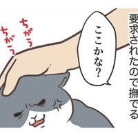 愛猫にねだられ、なでなでタイム。まさか「肉球」を触って欲しいなんてことあるんだ…【おさんぽですし！　おしゃべり犬とイライラ猫の日記 #22】 画像