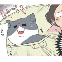 お気に入りの場所から絶対に動きたくない愛猫。漬物石より重たくなるのはなぜ？【おさんぽですし！　おしゃべり犬とイライラ猫の日記 #23】 画像