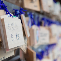 小3で偏差値58からスタートした中学受験だったが…「周りが伸びた」結果50を下回り、苦戦のまま2月を迎えた母子の「結果」 画像