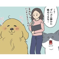 カラスの巣作りの季節到来。静かに様子を眺める猫と犬…実はビビってただけ？【おさんぽですし！　おしゃべり犬とイライラ猫の日記 #29】 画像