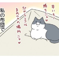 「たまらない」私の布団で昼寝してた愛猫。後に残ったほのかな温もりが至福のひととき【おさんぽですし！　おしゃべり犬とイライラ猫の日記 #32】 画像
