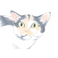 「やすらぎさんを困らせない」ことがミケちゃんのルール！ 飼い主を気遣う猫が健気で愛らしい【ミケちゃんとやすらぎさん #５】 画像