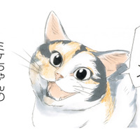 「おはよう」笑顔でお出迎えしてくれる看板猫のミケちゃん。今日も穏やかな１日が始まる【続 ミケちゃんとやすらぎさん #１】 画像