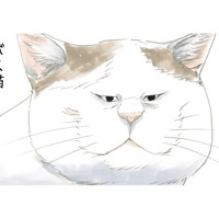 この町を守るのがおれの使命！ 強くなければ生きていけない…ボス猫・シロの生き様とは？【続 ミケちゃんとやすらぎさん #４】 画像