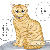 老犬の柴犬に嫁いできたという不思議な猫。気品溢れる「マドレーヌ夫人」とは？【かのこちゃんとマドレーヌ夫人 #１】 画像