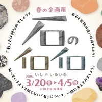 【春休み2026】「石のイロイロ」多摩六都科学館で3/20開幕、火星隕石の特別展示も 画像