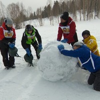 NEWS増田貴久「鉄腕DASH」初参戦 STARTO若手メンバーと巨大雪玉で3km走破なるか 画像