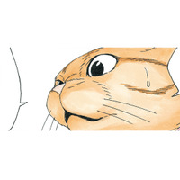 リアルすぎて夢と現実の区別がつかない！「夢のはずない」と語る犬が見た夢とは？【かのこちゃんとマドレーヌ夫人 #11】 画像