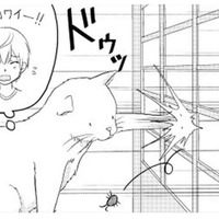 こわがりな弟のため、虫を退治したねこまた！ 一緒に障子が破れて、兄に怒られそう…【ウチの百鬼夜行 #９】 画像