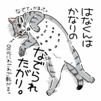 撫でられるのが大好きな猫。なで方をサボった瞬間…態度が急変!?【猫がおしりを向けてきます #３】 画像