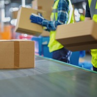 「スポーツのような爽快感」63歳男性の仕事探し。早朝4時、宅配便仕分けに挑戦。ギャルや主婦に混じって汗を流す 画像