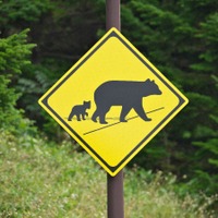 命よりも仕事⁉ クマの気配に怯え、混浴の露天風呂で見知らぬ女性と星空を眺める。63歳で山小屋の歩荷バイト、やってみた 画像